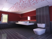 Nhà tắm nên sử dụng loại vật liệu gì làm trần?